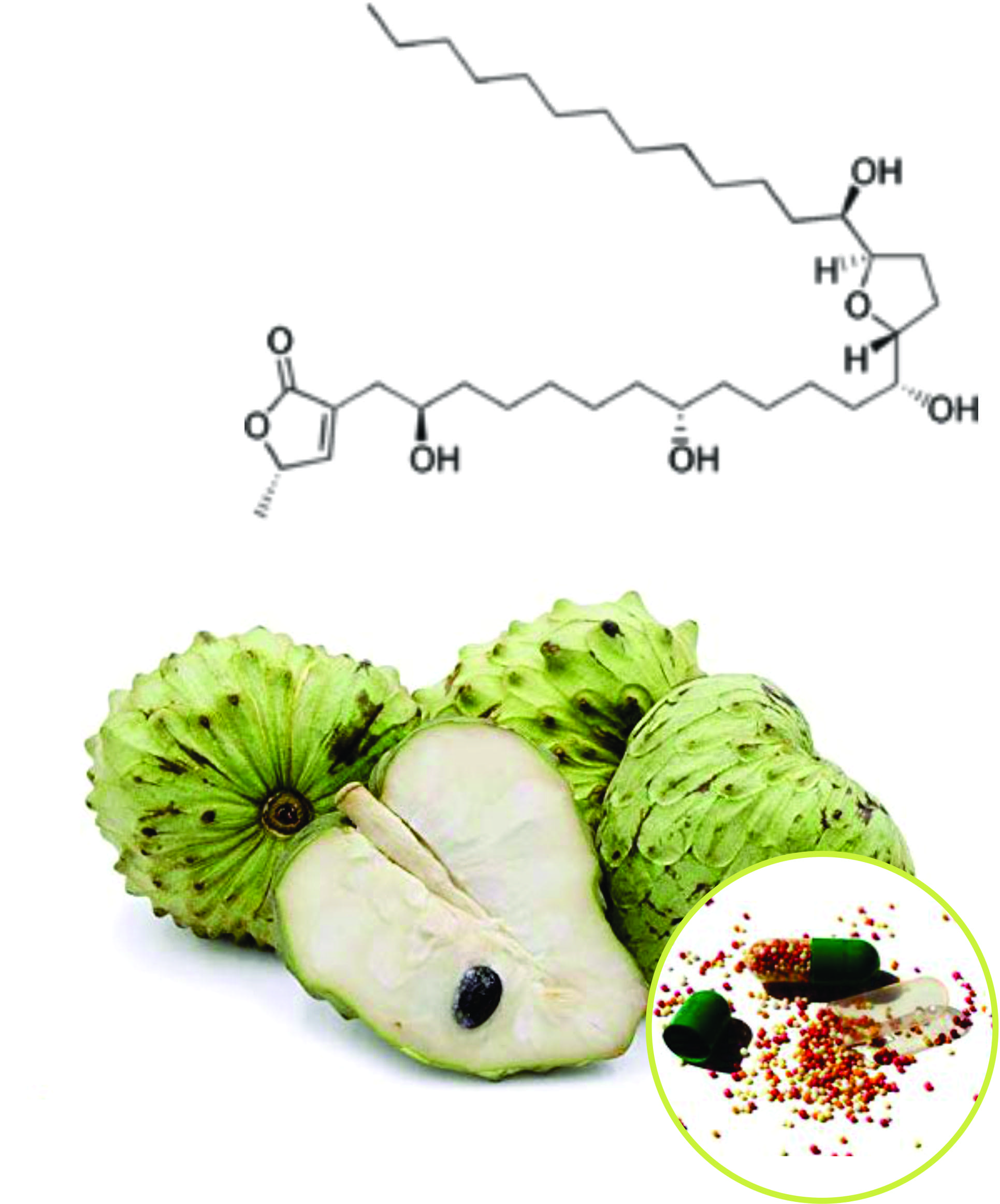 Annona Beadlets