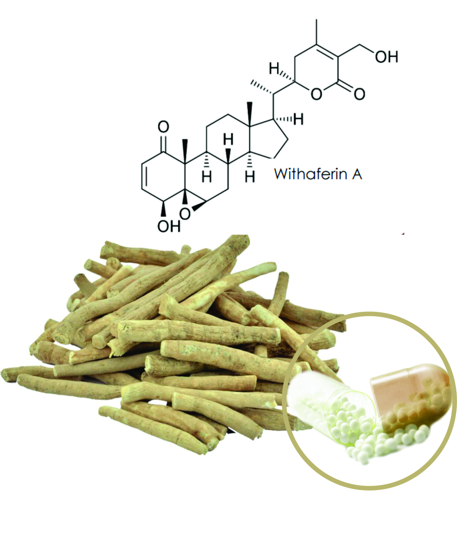 Ashwagandha Beadlets