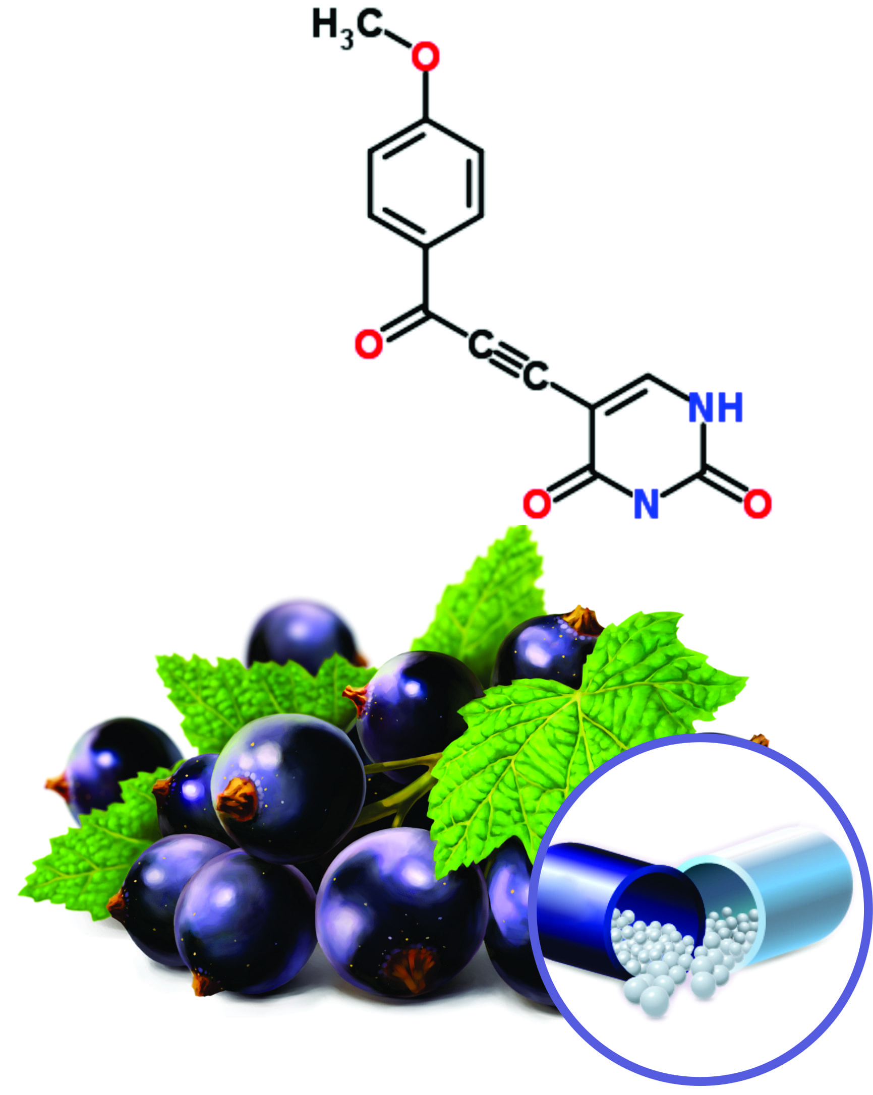 Blackcurrant Beadlets