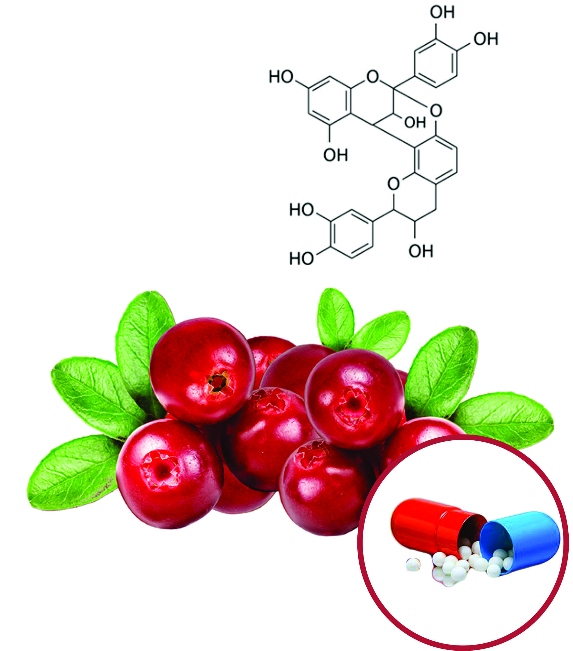 Cranberry Beadlets