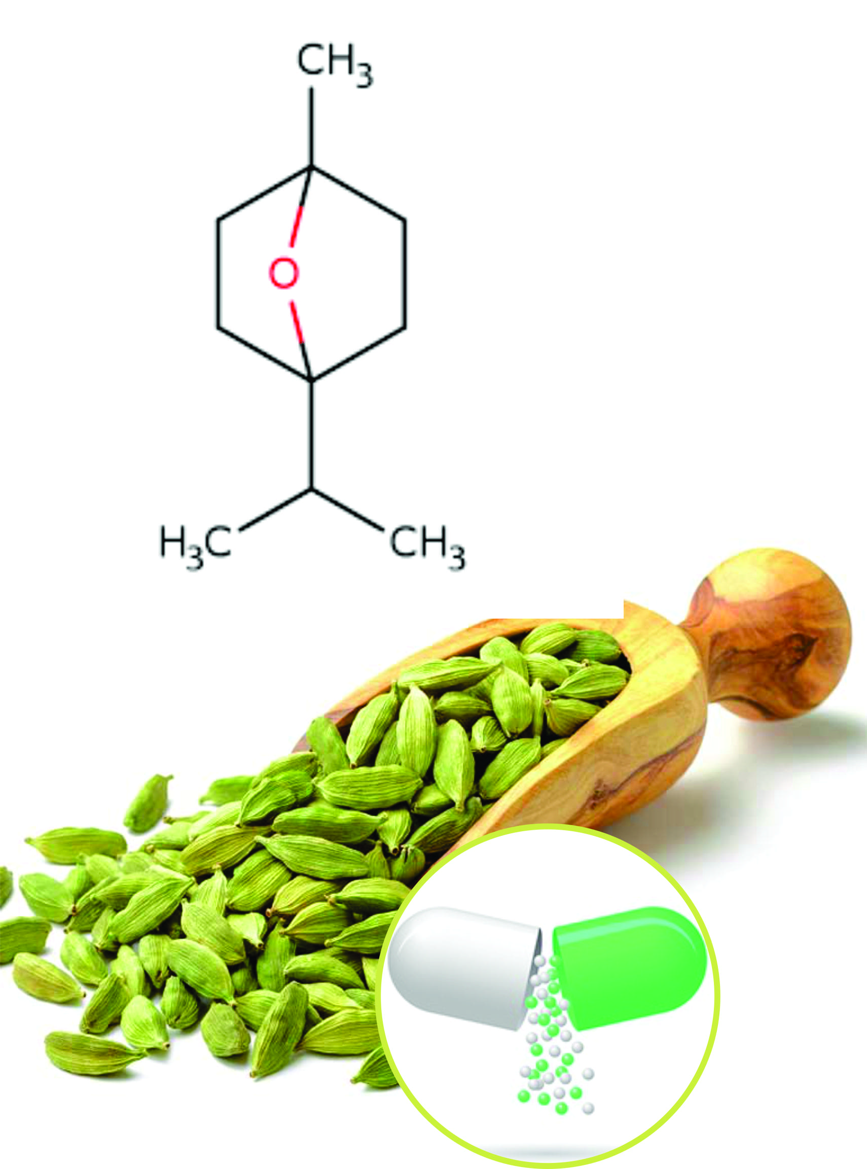 Cardamom Beadlets