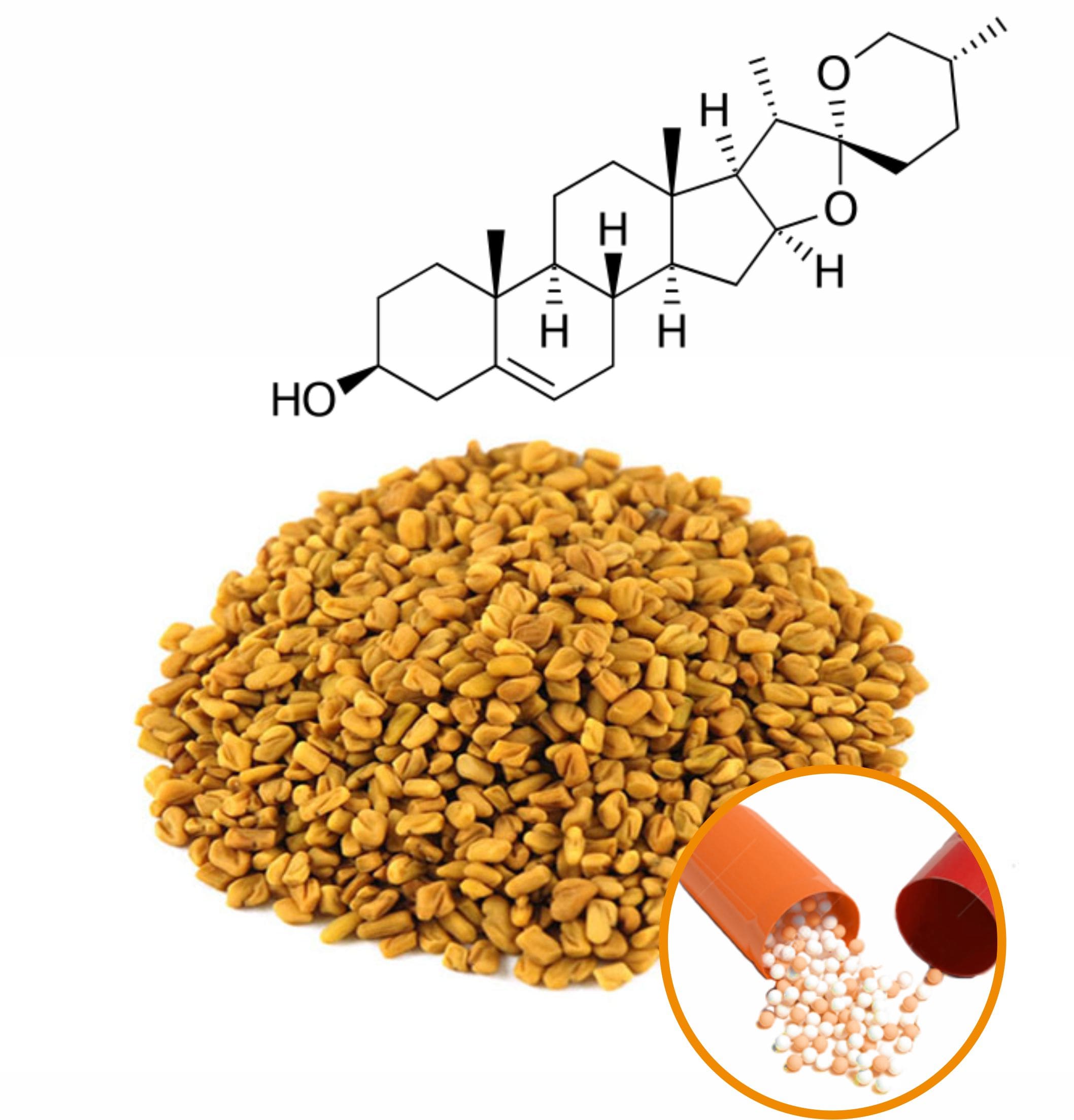 Fenugreek Beadlets