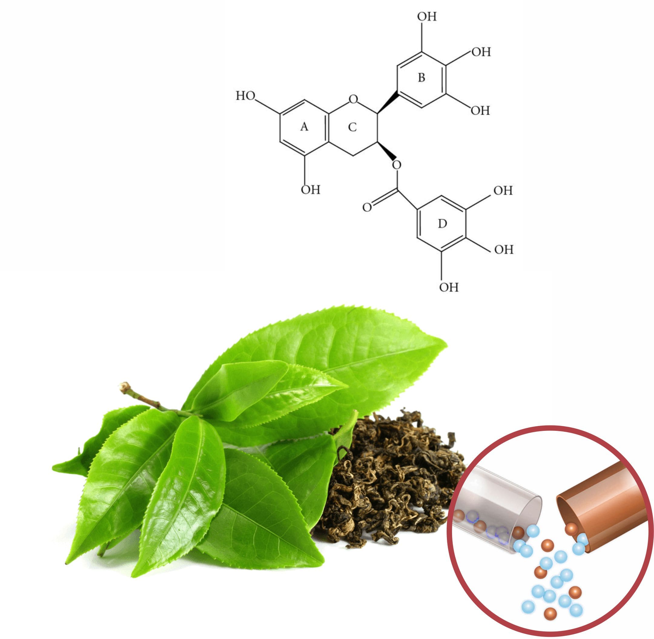 Green Tea Beadlets