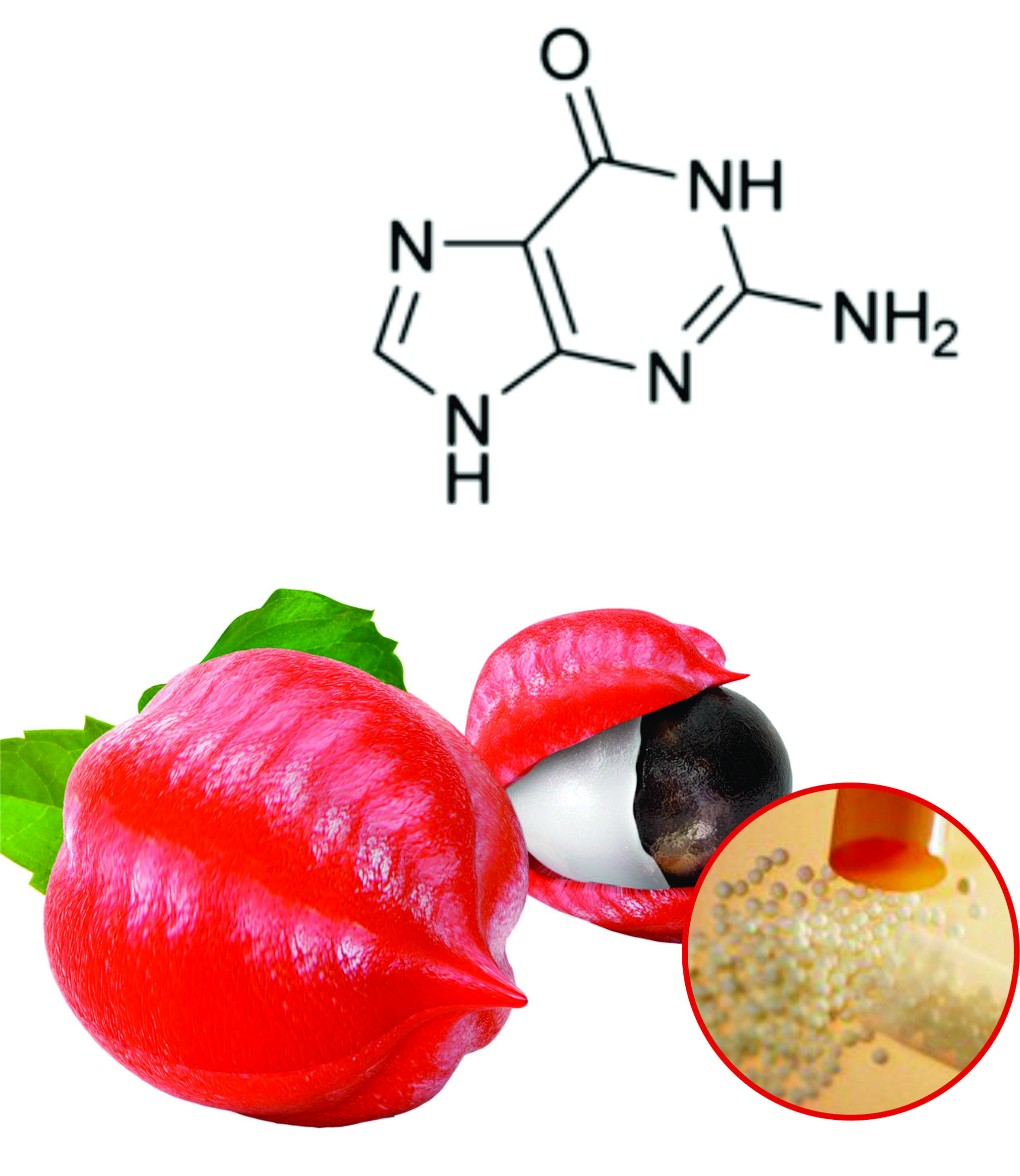 Guarana Beadlets