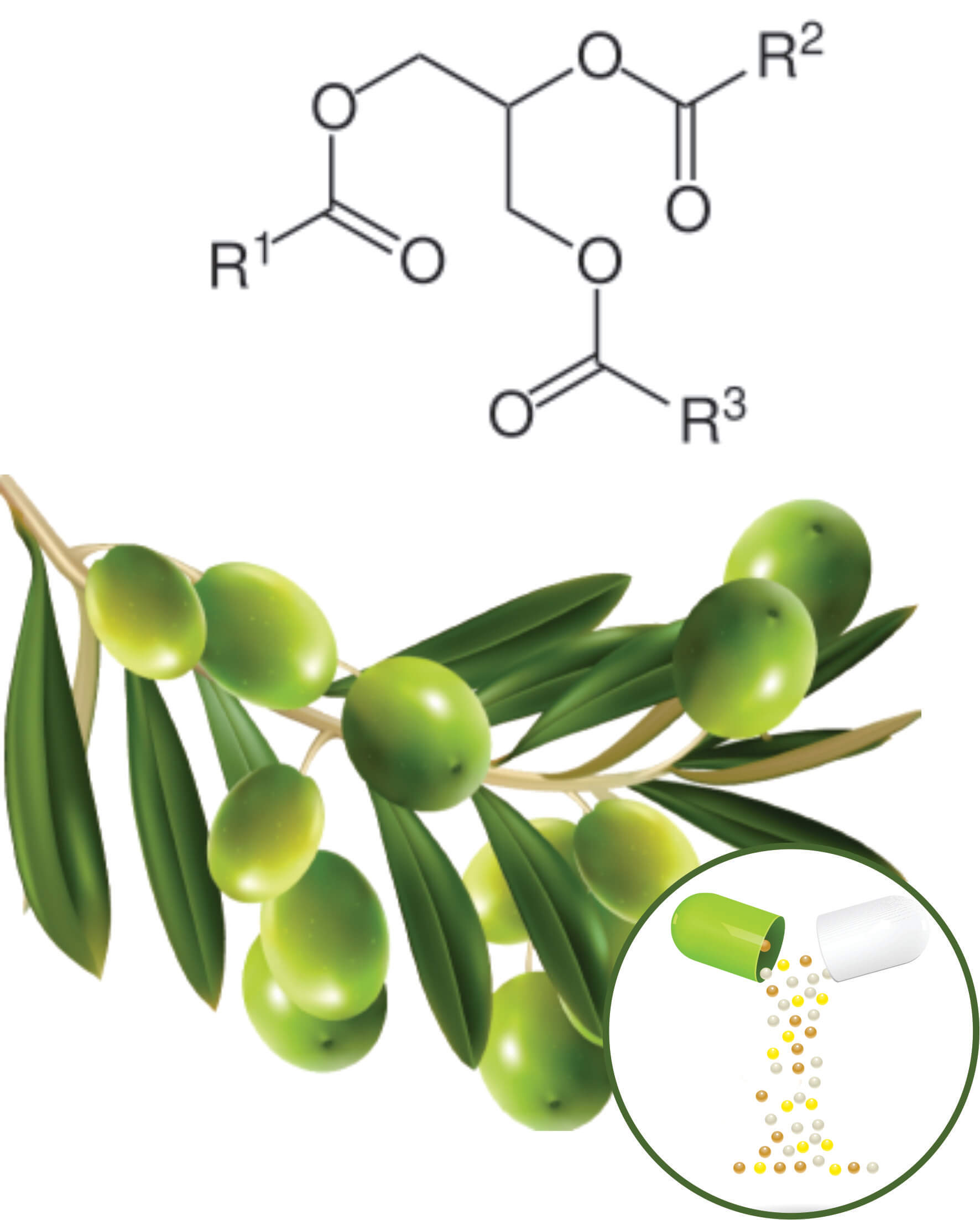 Olive Beadlets