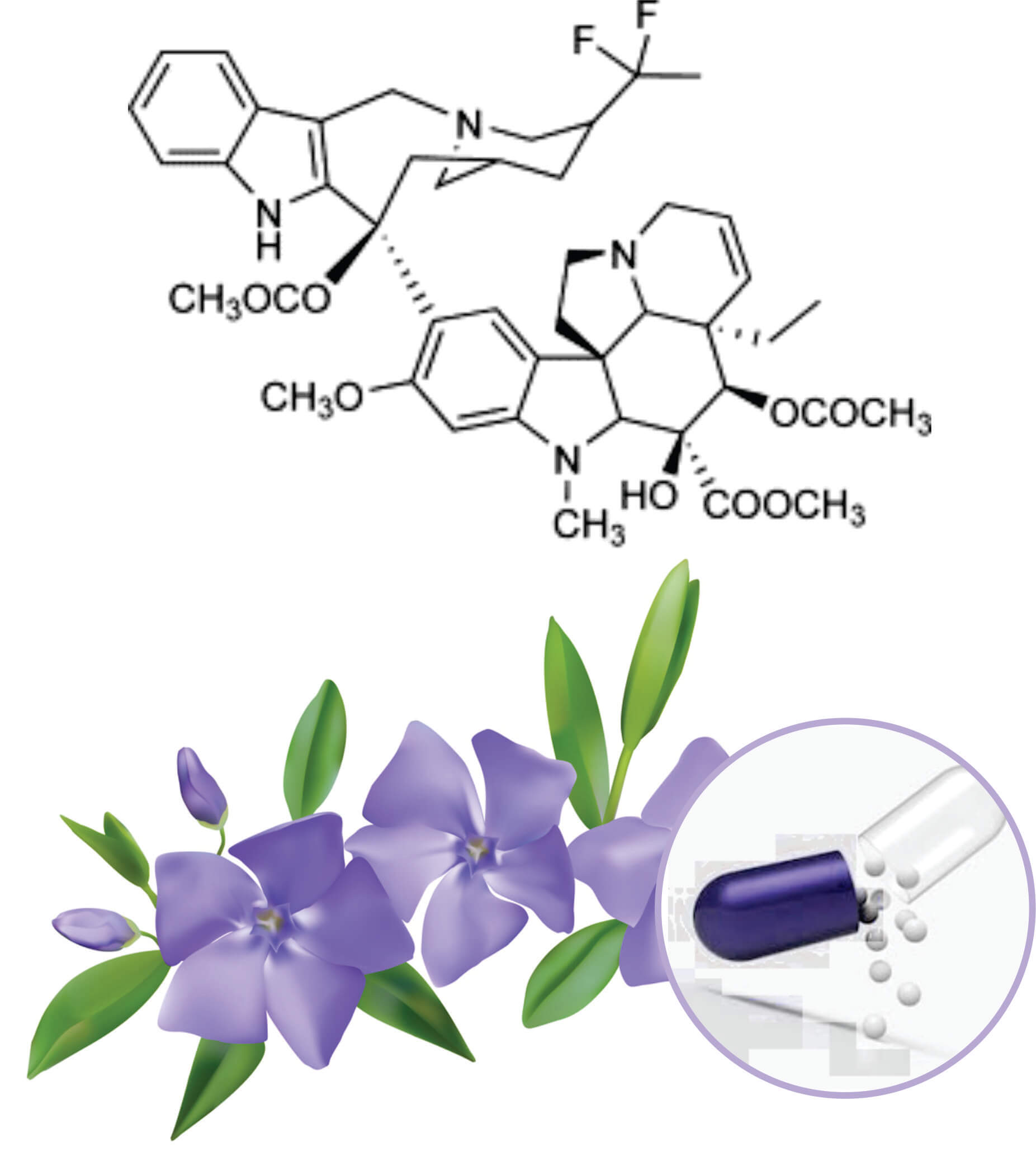 Periwinkle Beadlets