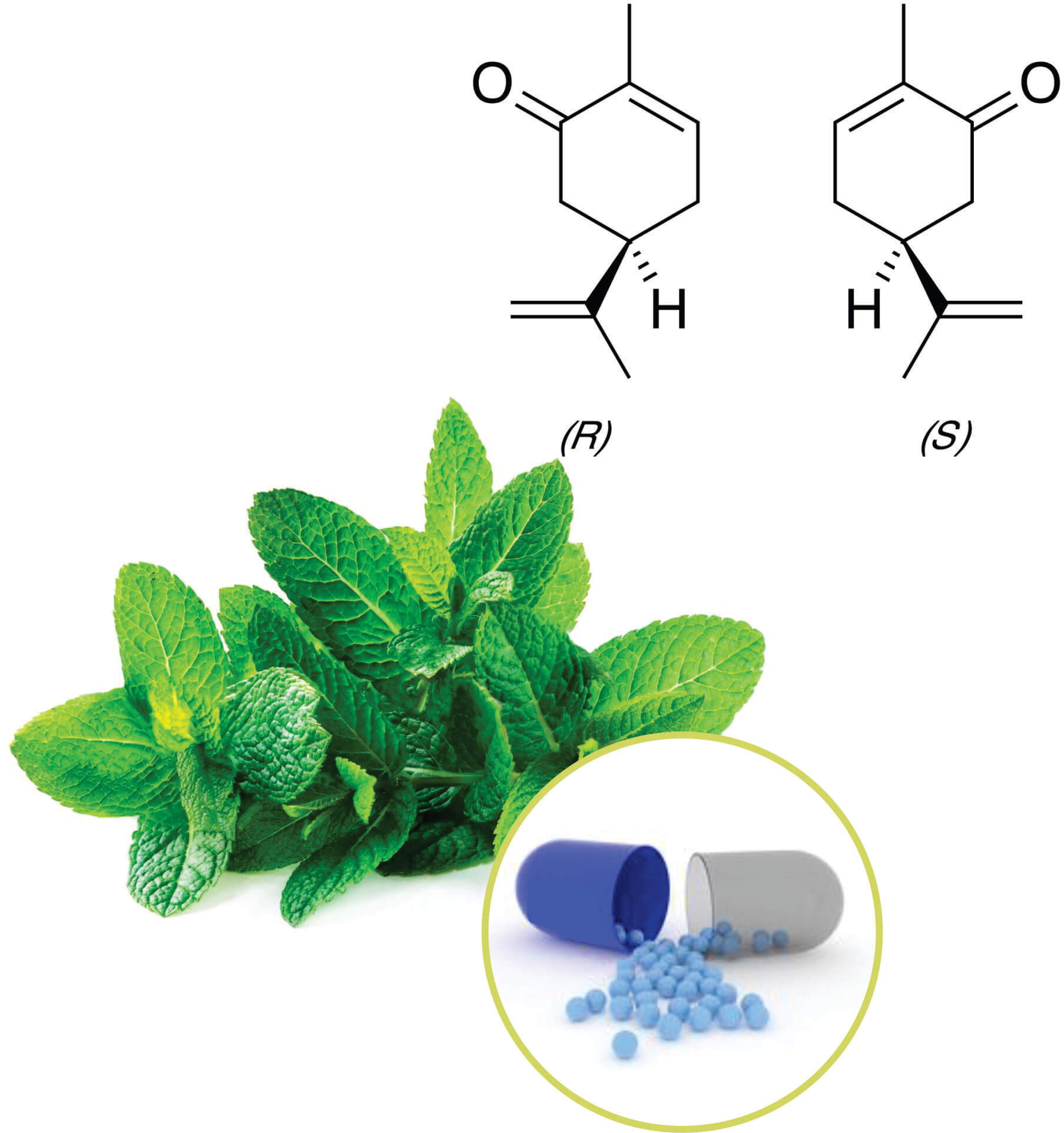 Spearmint Beadlets