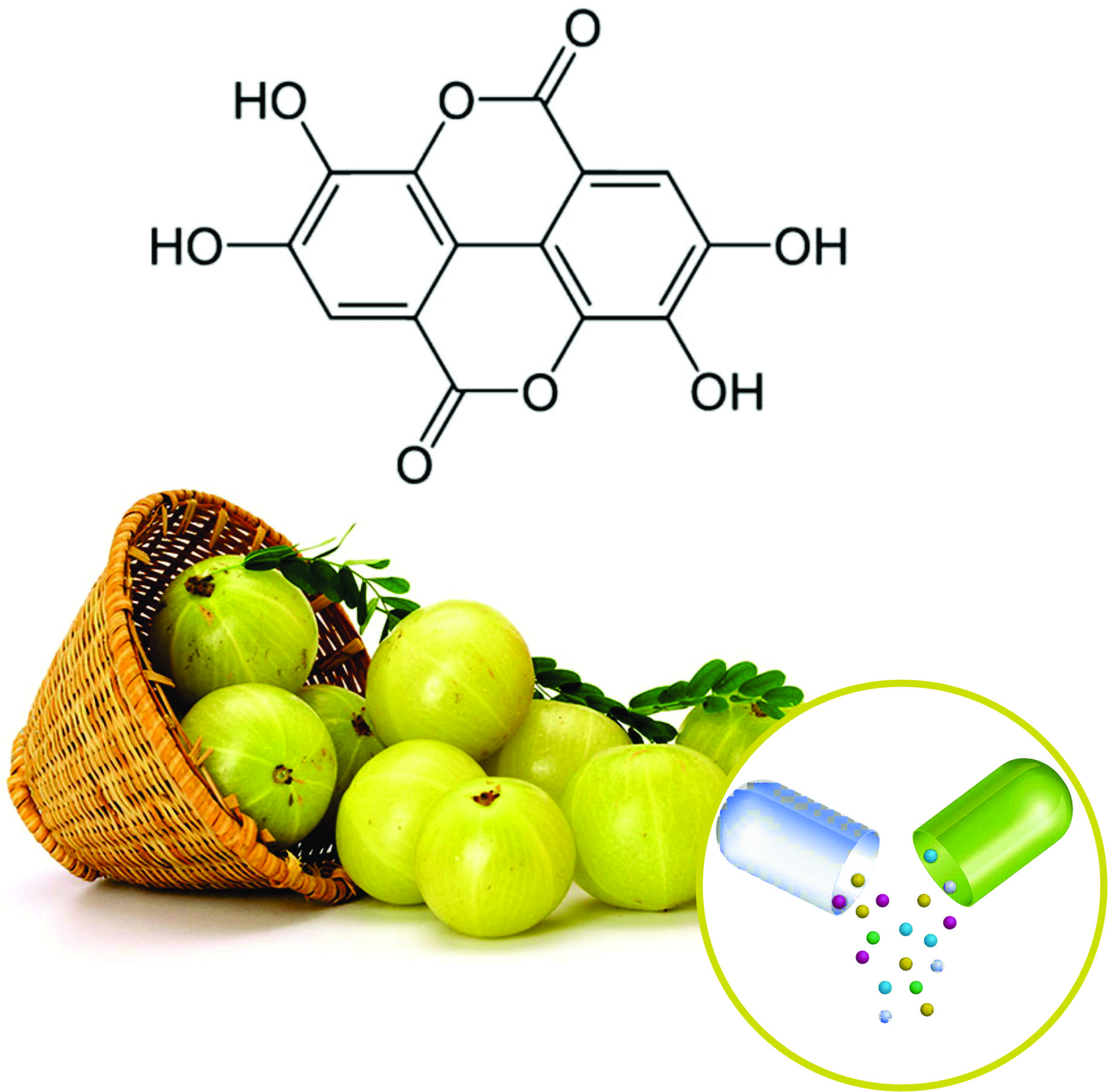 Amla blends Beadlets