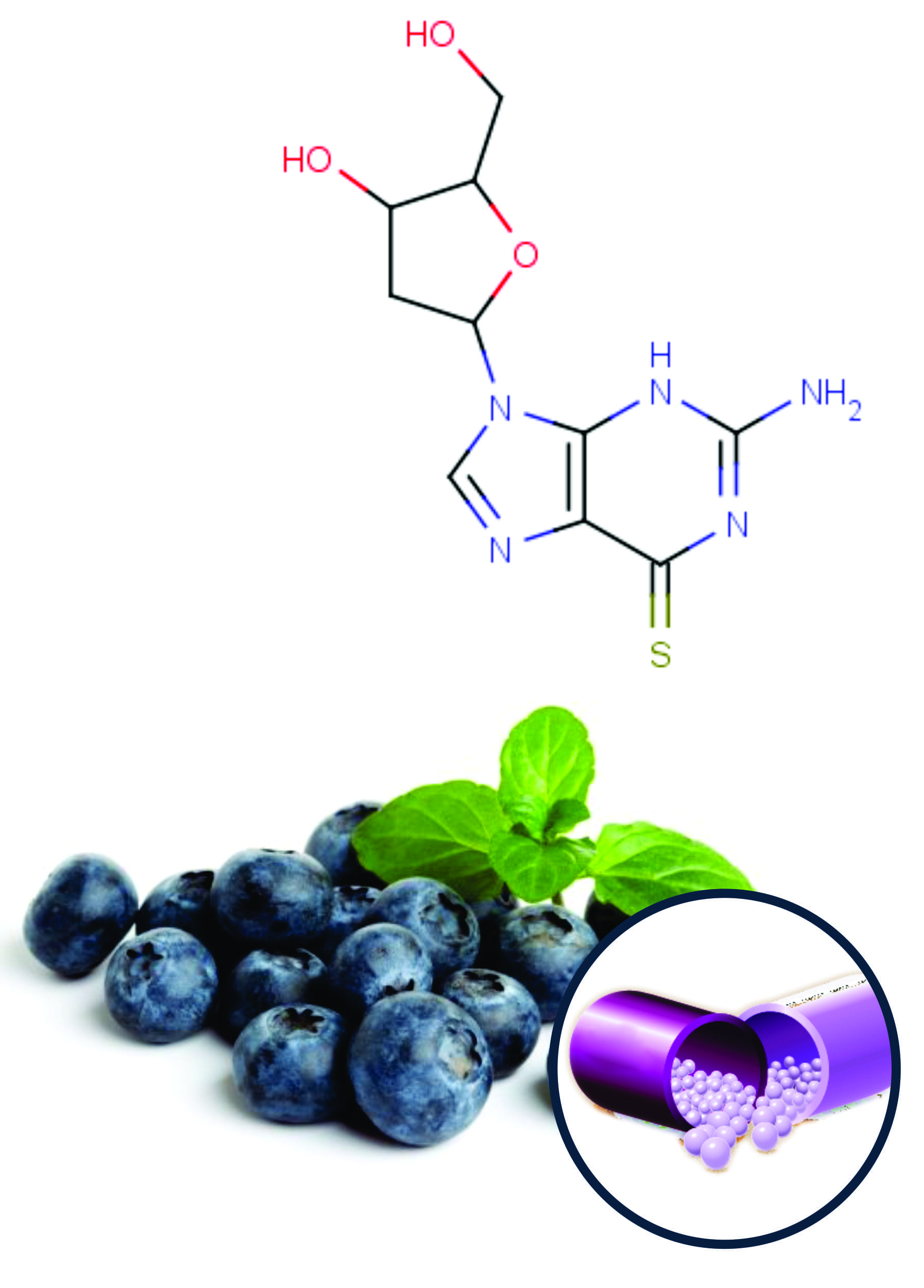 Bilberry Beadlets