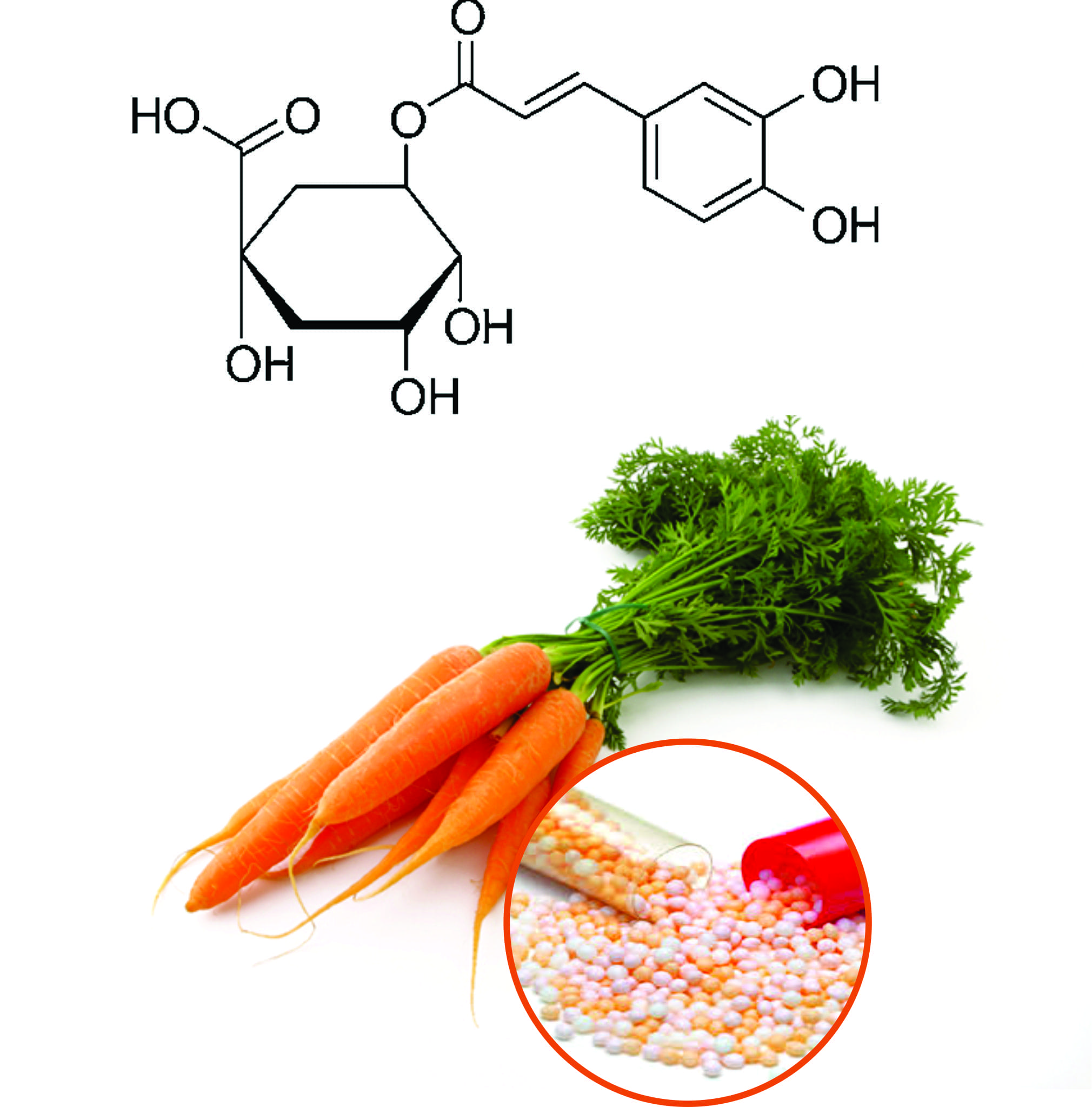 Carrot Beadlets