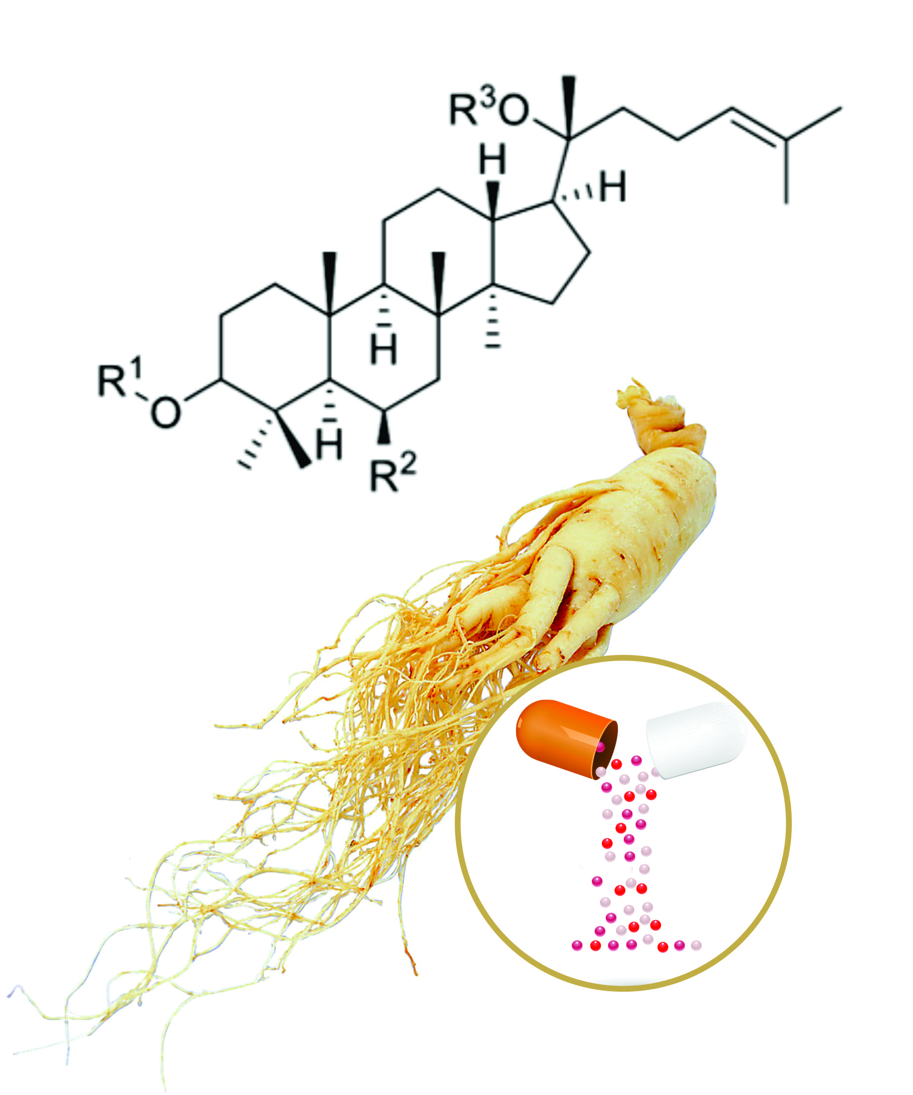 Ginseng Beadlets