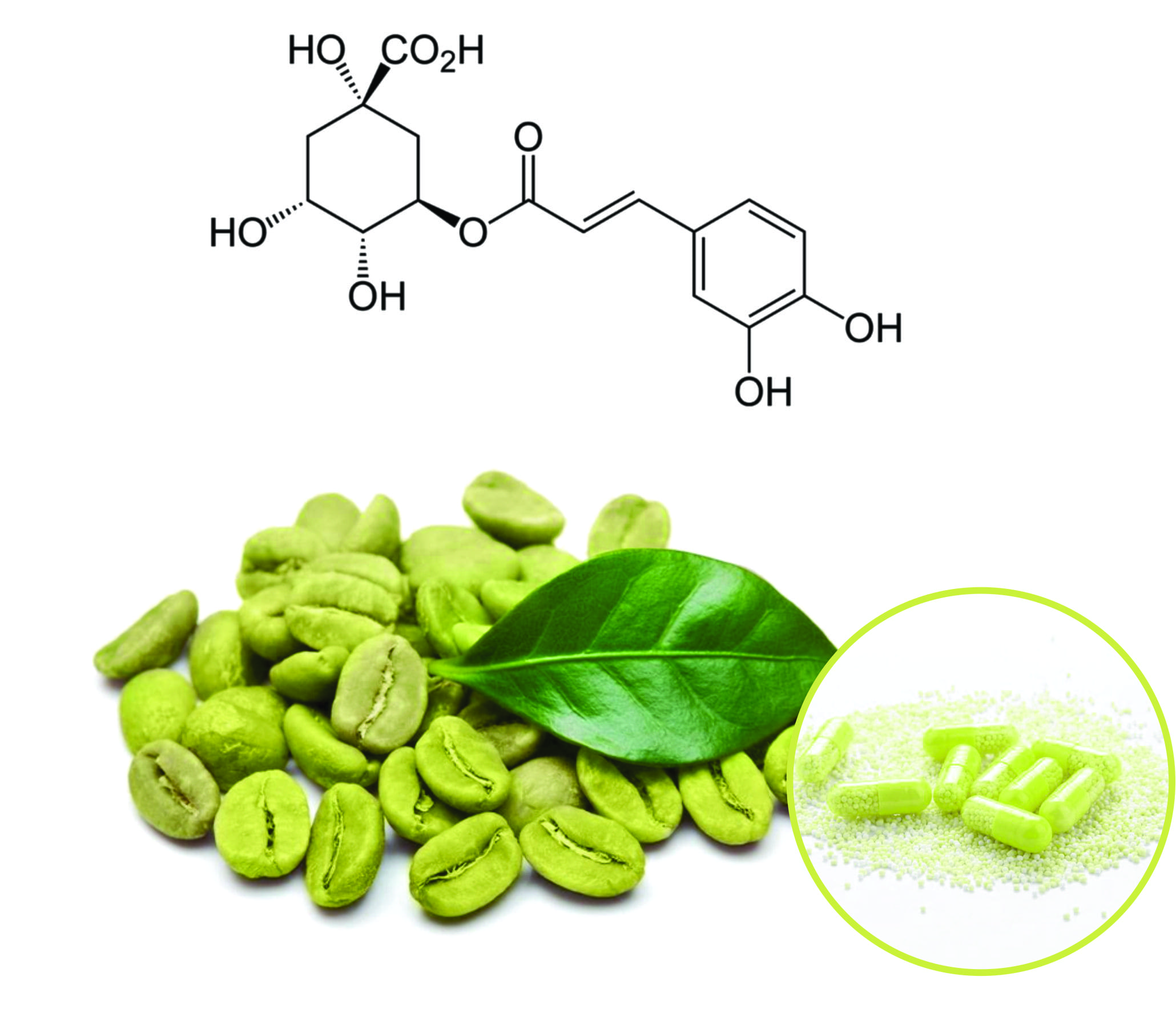 Green Coffee Beadlets