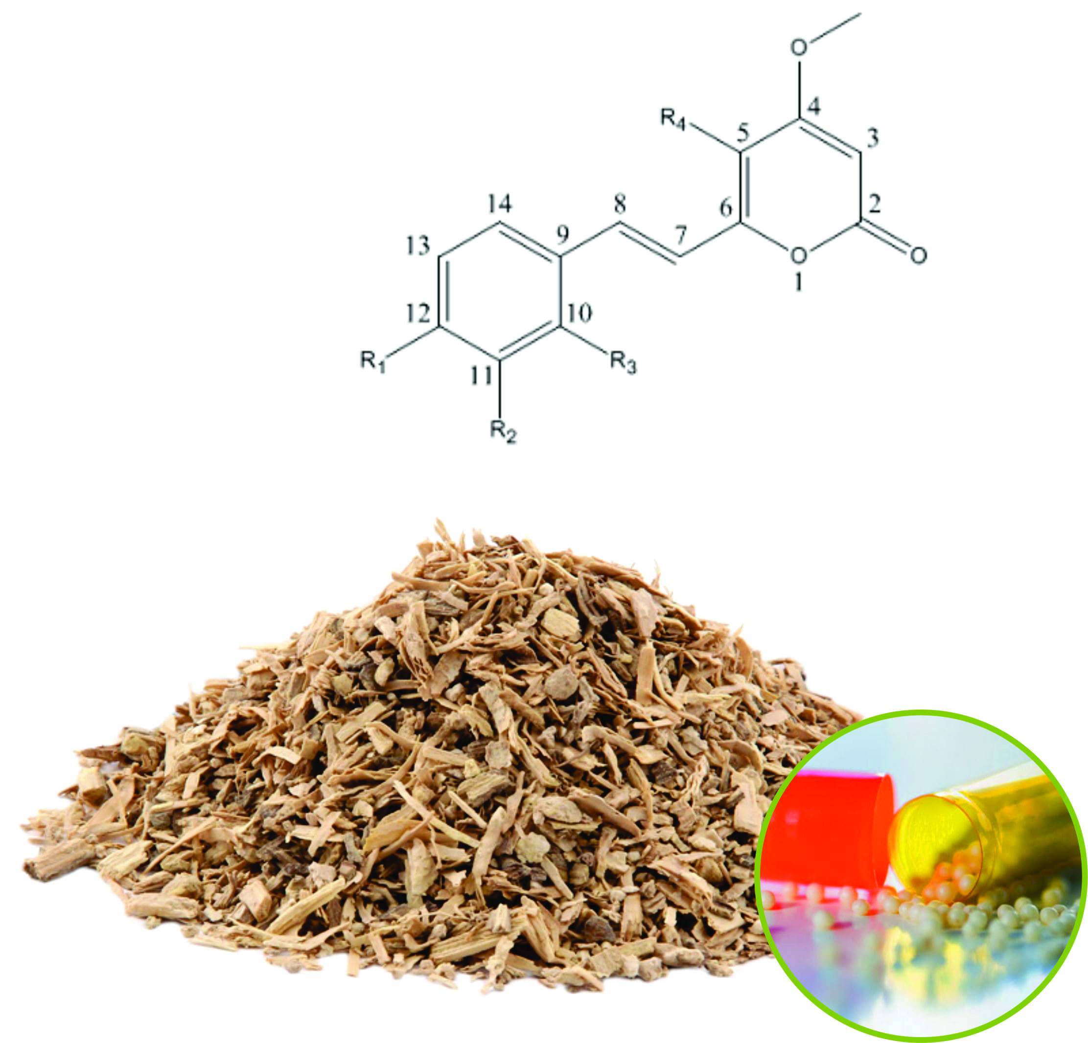 Kava Beadlets