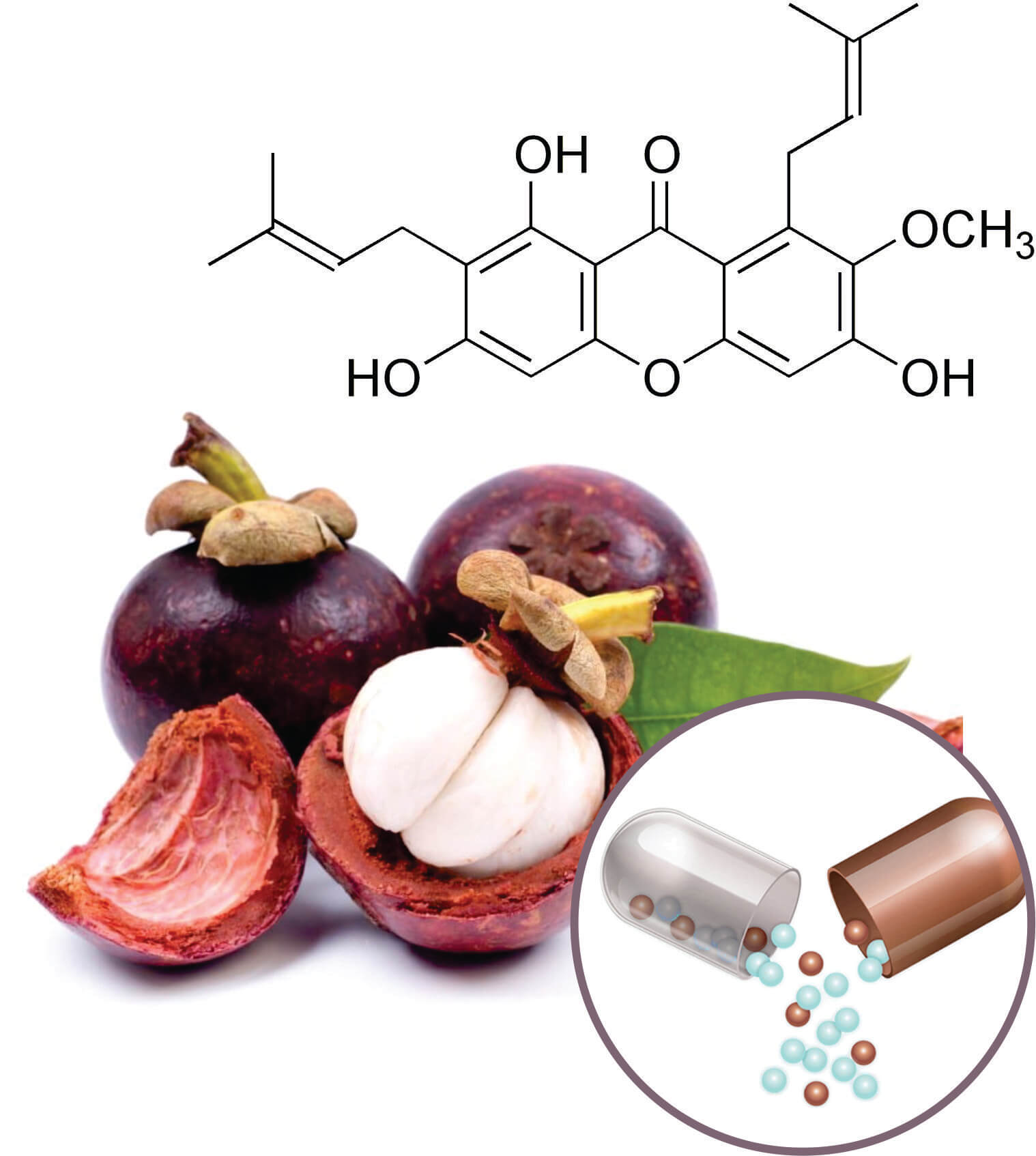 Mangosteen Beadlets