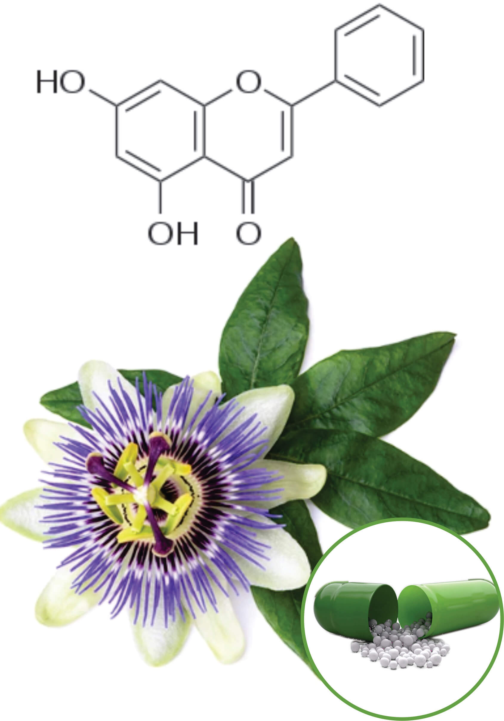 Passion Flower Beadlets