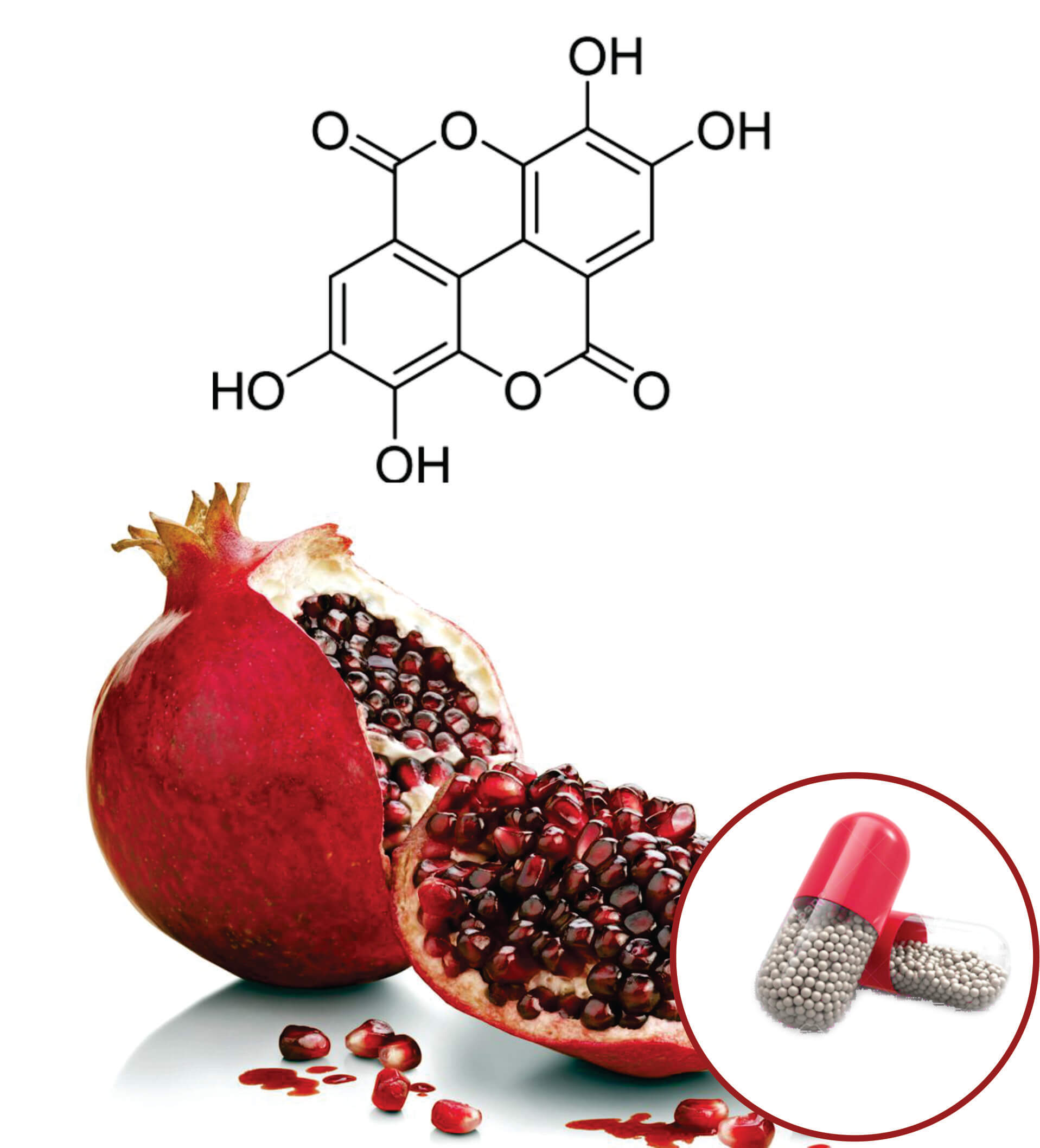 Pomegranate Beadlets