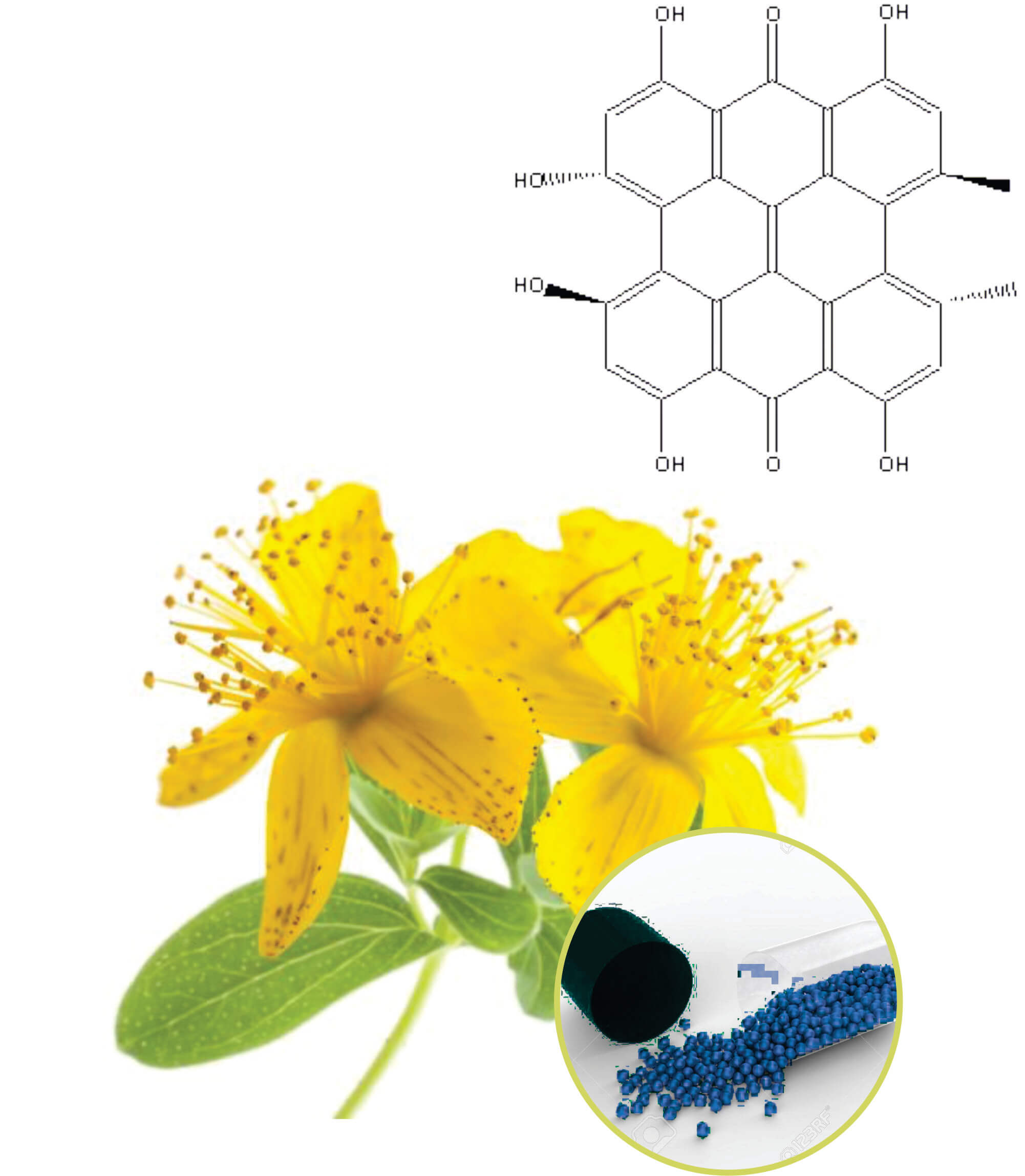 St. John's Wort Beadlets 